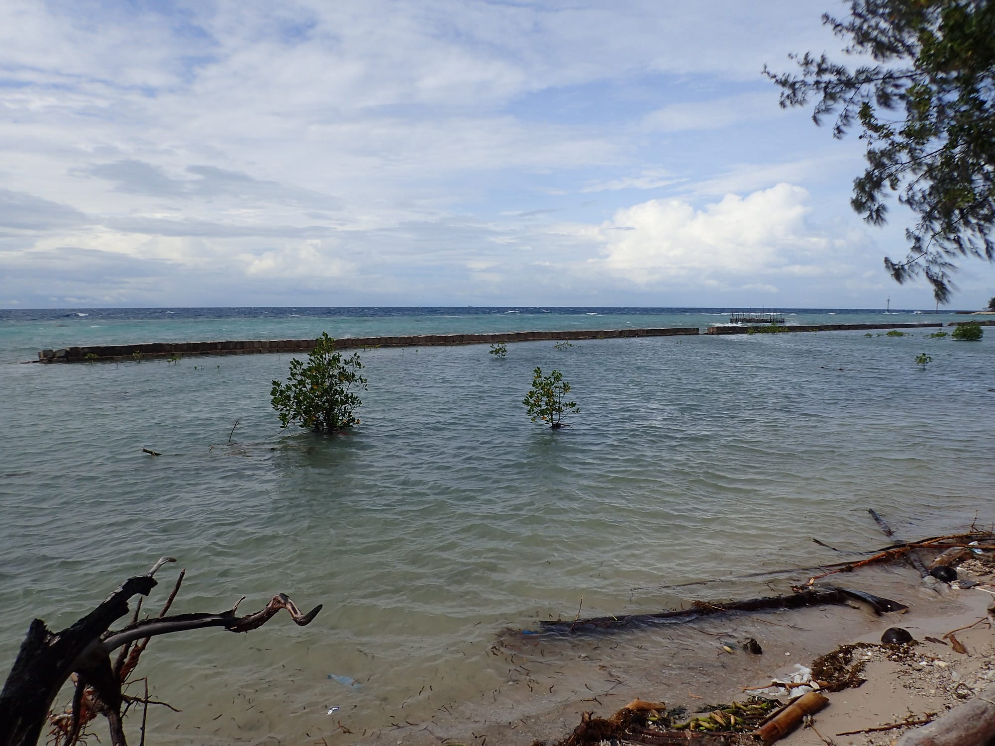 Kepulauan Seribu (Thousand Islands)- Pulau Tidung and Pulau Pramuka, Indonesia