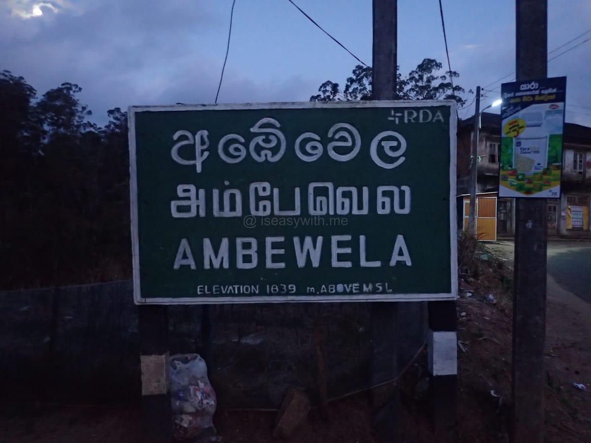 Ambewela & The Edge of the World: Highlands & Dairy Plains Guide