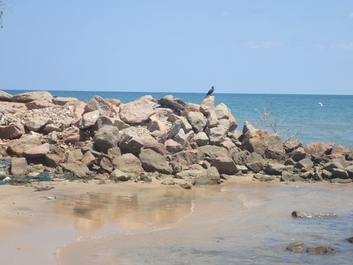 Beyond the Waves: Discovering Kalpitiya’s History, Wildlife & Local Life