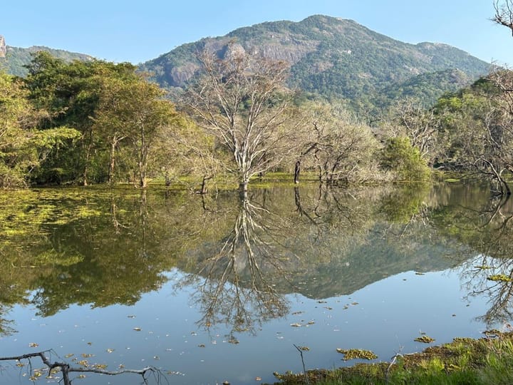 Where to Stay in Sri Lanka: My Tried-and-Tested Accommodation Guide